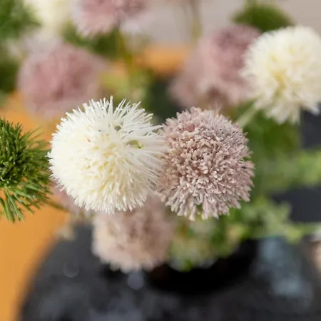 Jaracza Deluxe Appartement