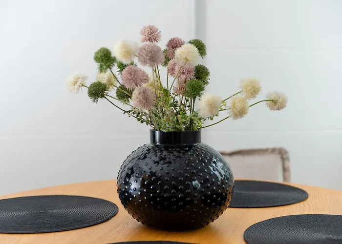 Appartement Jaracza Deluxe *