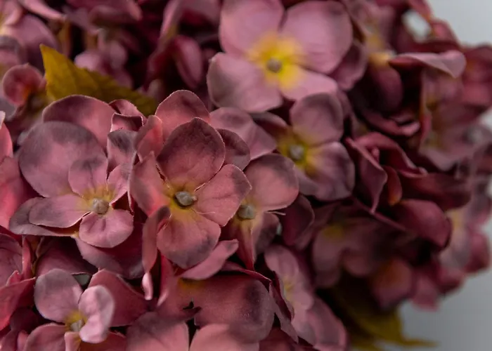 Jaracza Deluxe * Wrocław