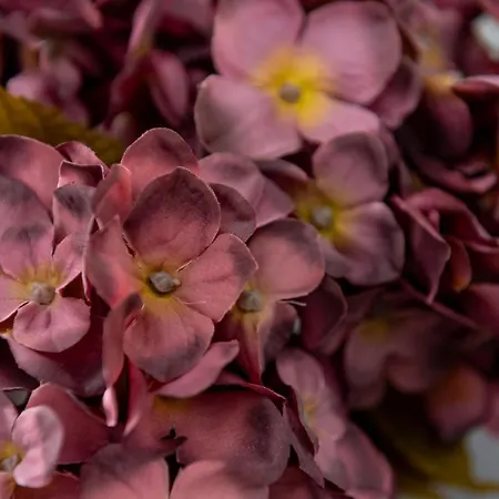 Jaracza Deluxe * Wroclaw