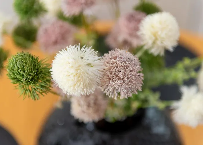 Jaracza Deluxe Apartamento